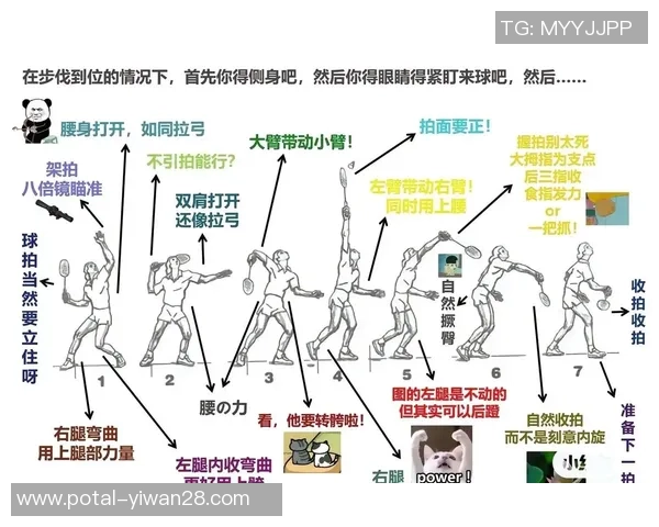南京羽毛球队引领最新羽毛球技术十强榜单解析与展望